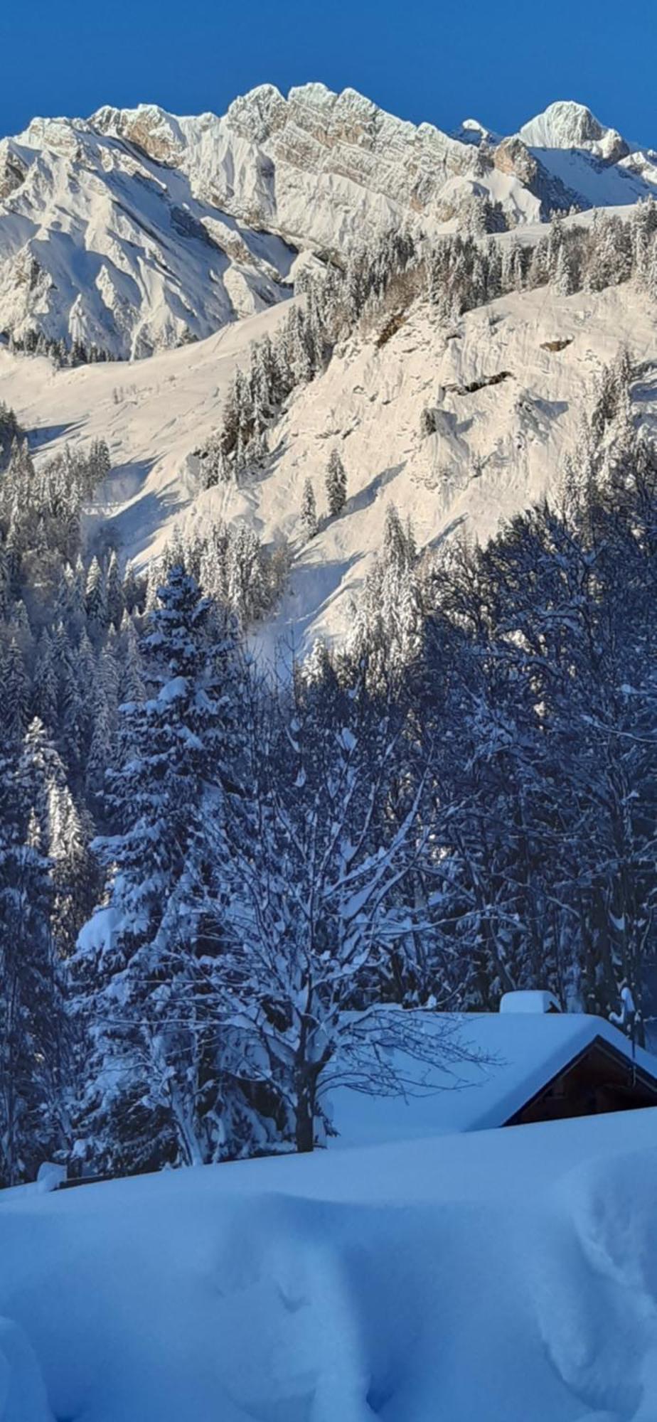 Chalet L'Armoy لا جييتاز المظهر الخارجي الصورة